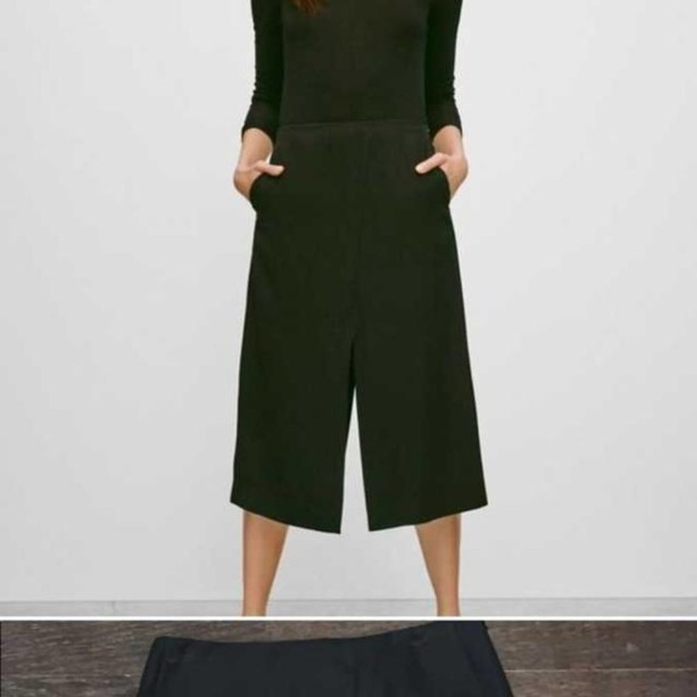 Aritzia Babaton Alton Pencil Skirt